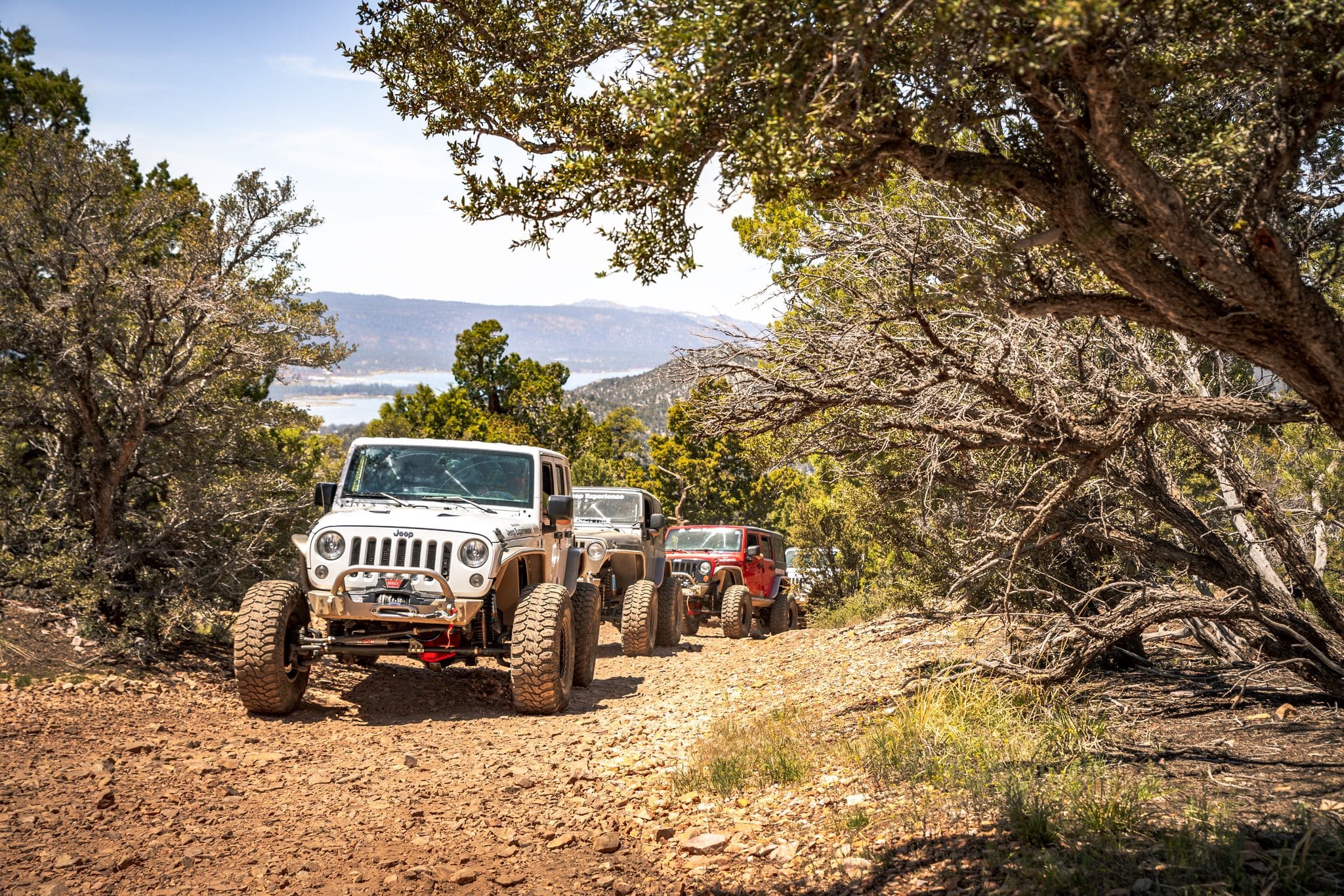 Jeep caravan on trail