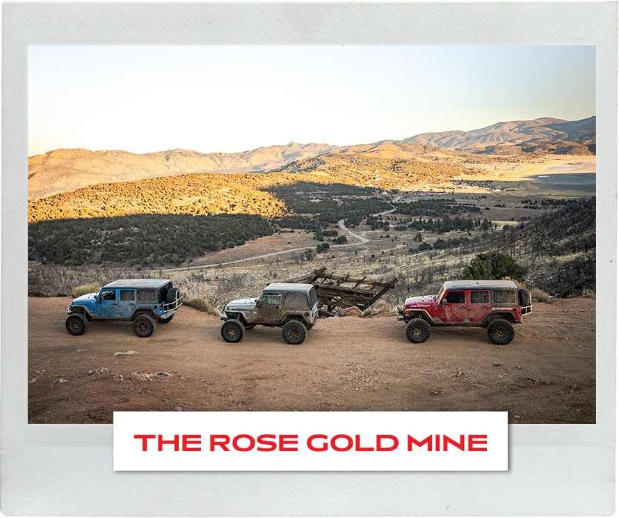 The Rose Gold Mine